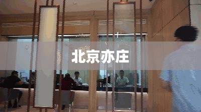 北京亦庄今日天气概况