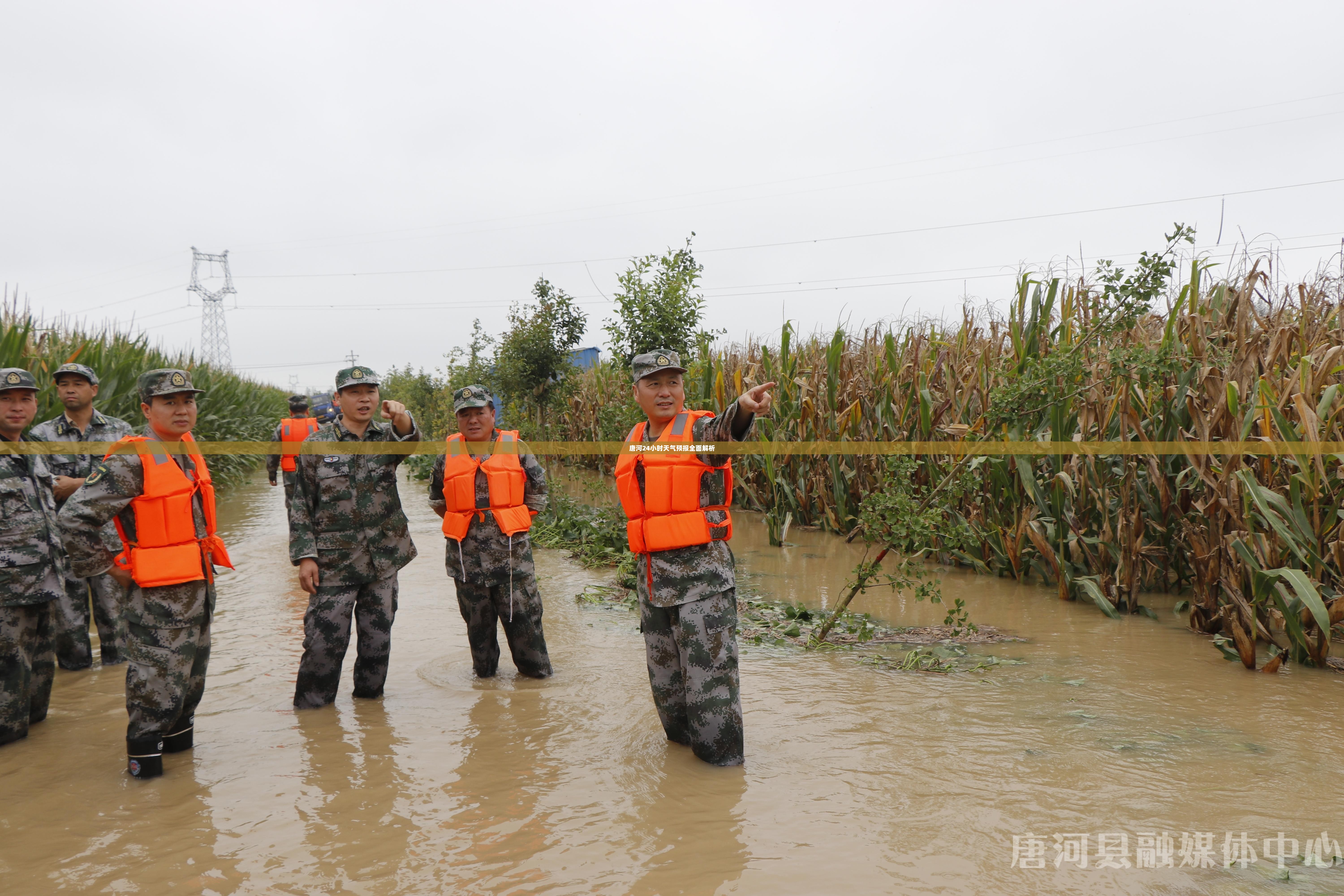 唐河24小时天气预报全面解析