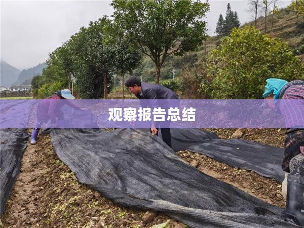 仁怀最近一周天气观察报告总结