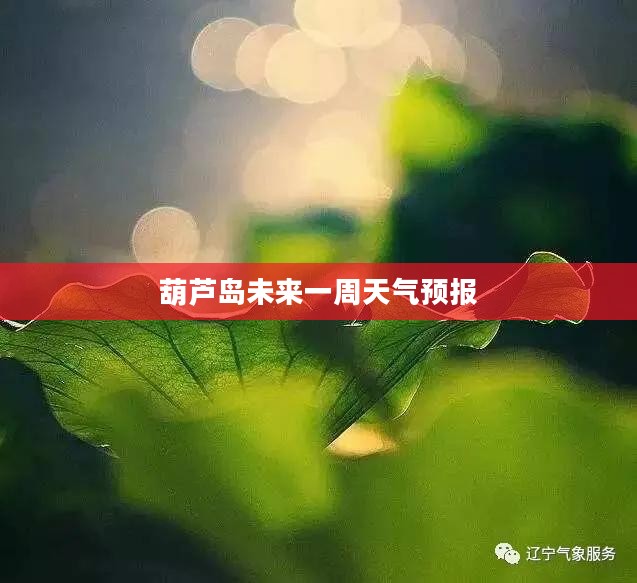葫芦岛未来一周天气预报展望与气象分析