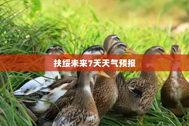 扶绥未来7天天气预报及气象分析概述