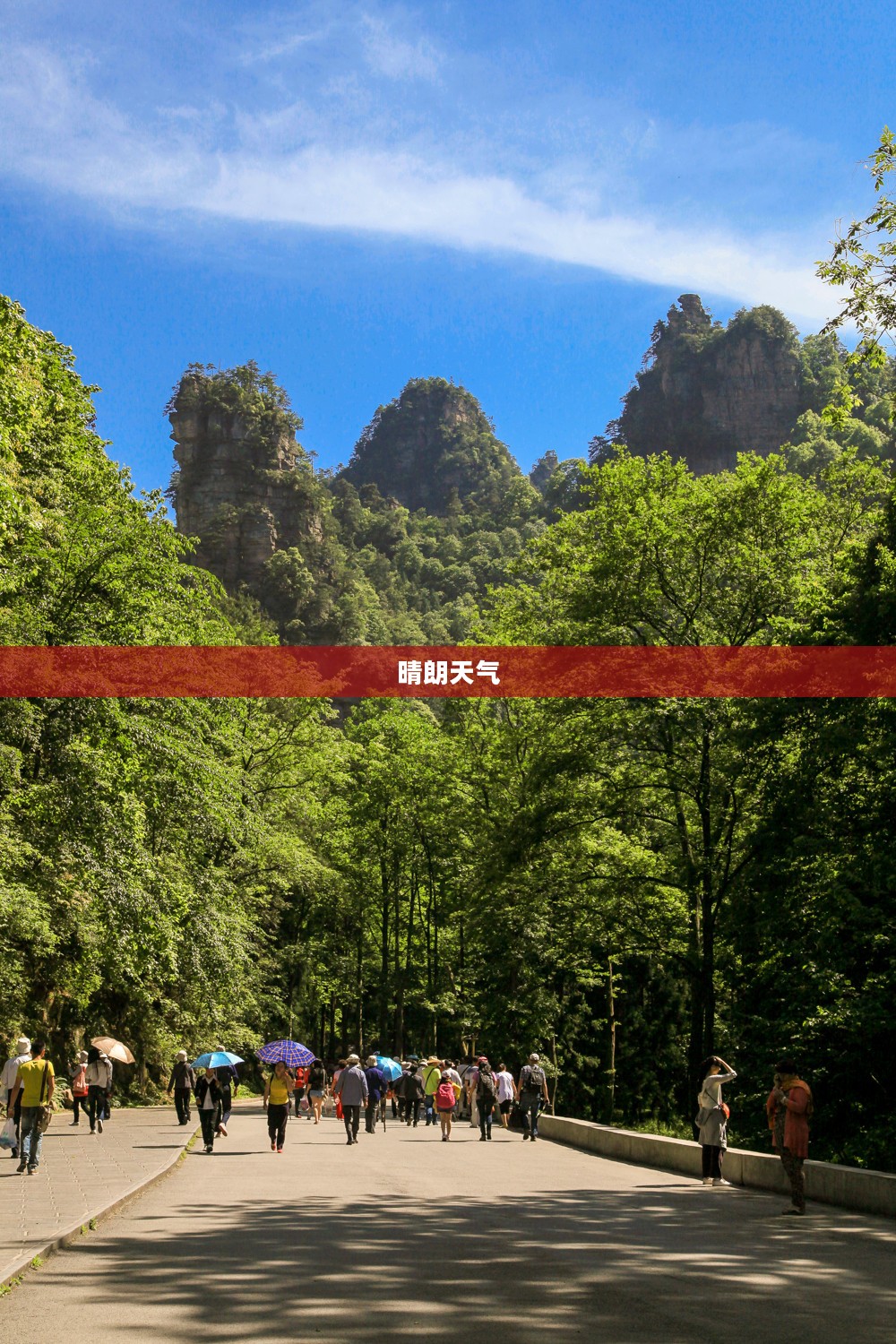 张家界晴朗天气记录