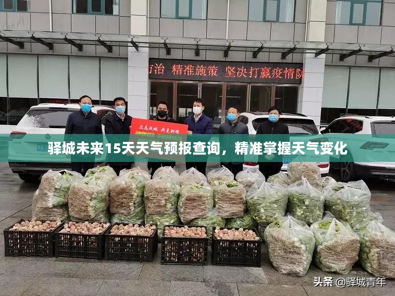 驿城未来15天天气预报查询，精准掌握天气变化