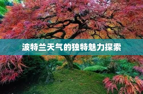 波特兰天气的独特魅力探索
