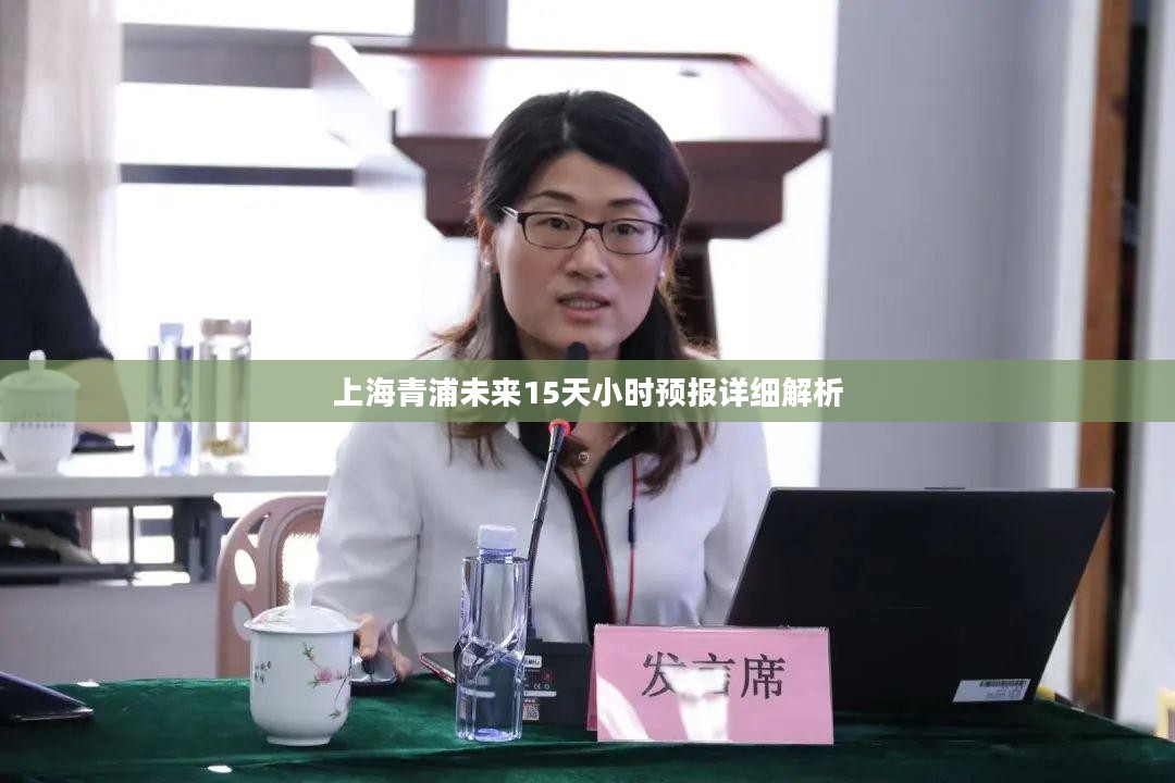 上海青浦未来15天小时预报详细解析
