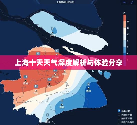 上海十天天气深度解析与体验分享