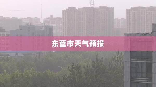 东营市未来十五天天气预报分析 东营市未来十五天天气预报分析