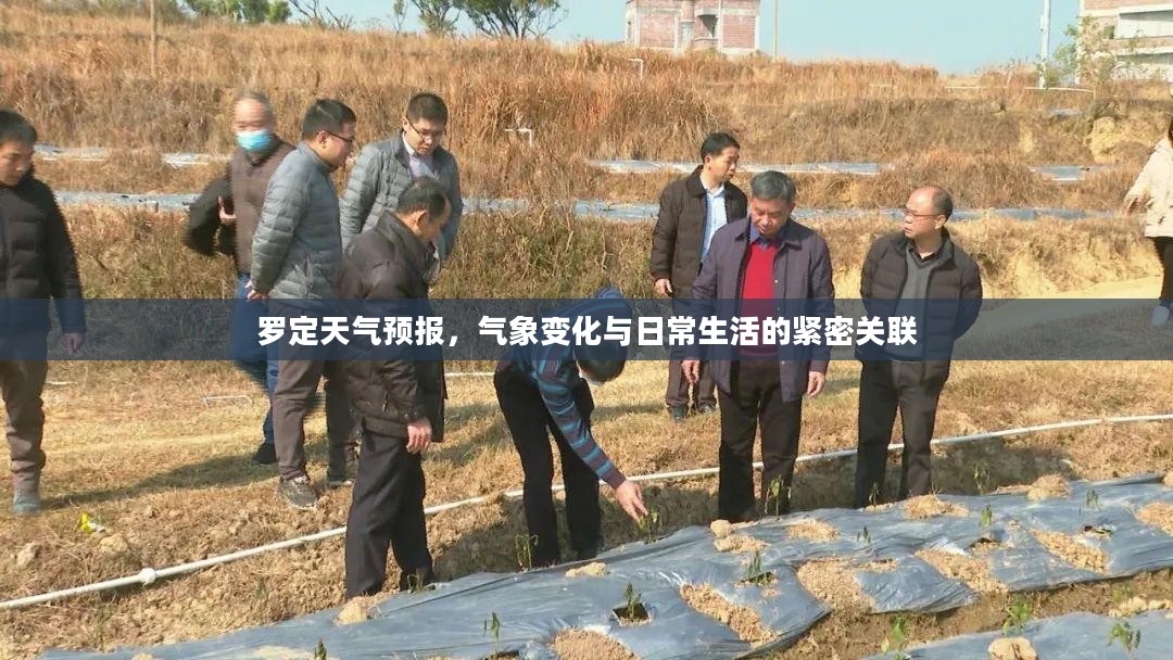罗定天气预报，气象变化与日常生活的紧密关联