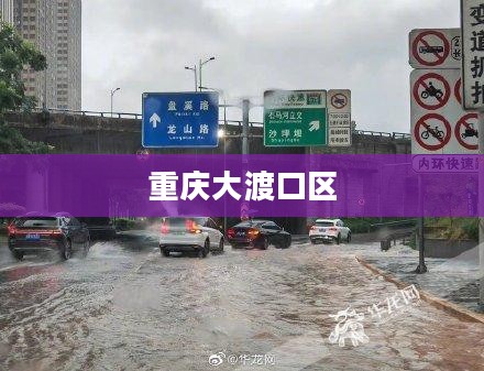 重庆大渡口区今日天气概况
