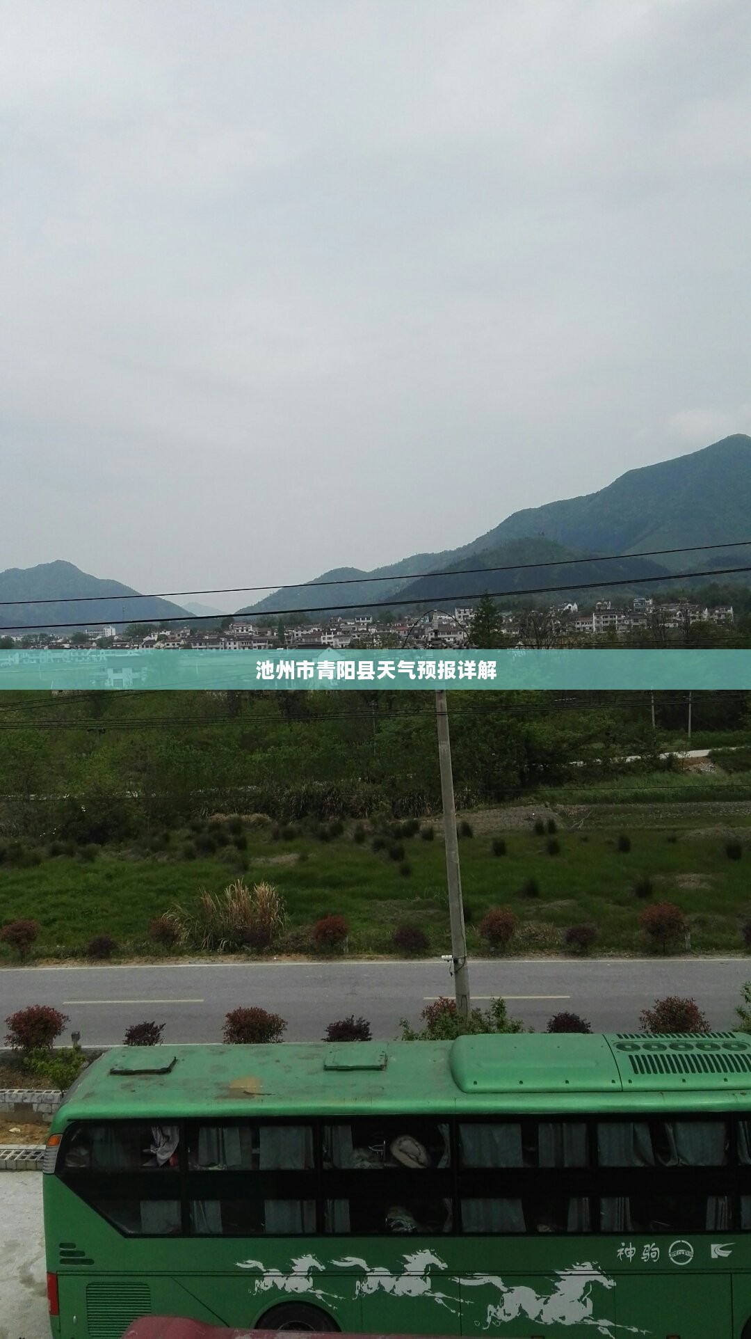 池州市青阳县天气预报详解 池州市青阳县天气预报详解