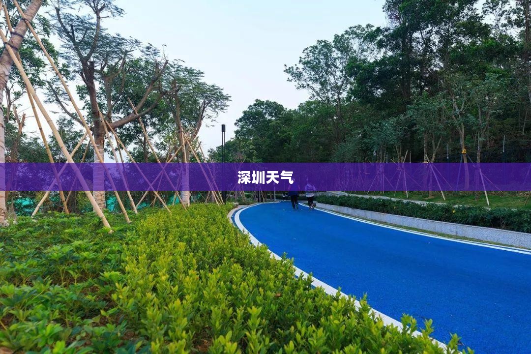 深圳未来三天天气预测报告