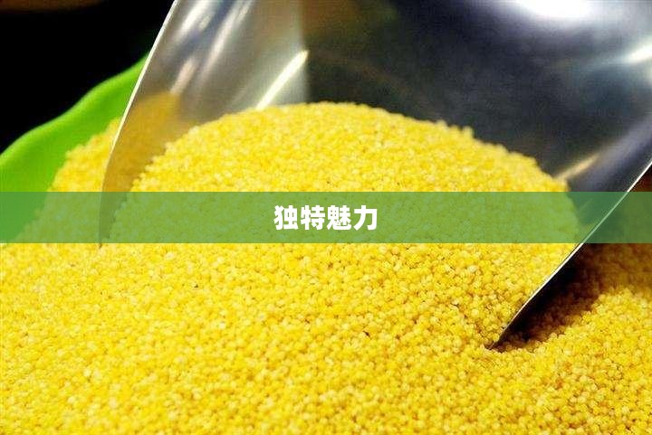 安徽太和四十日气候之旅的独特魅力
