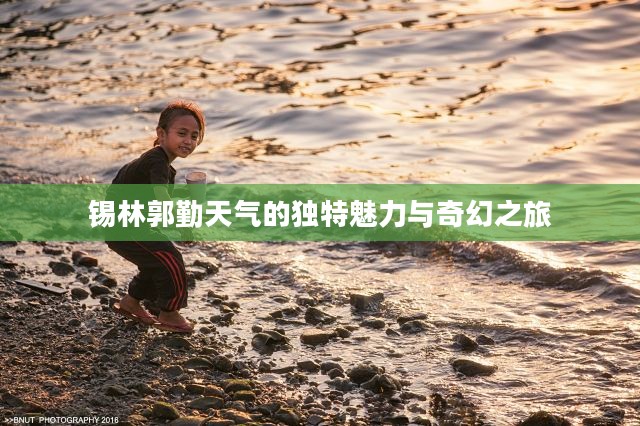 锡林郭勤天气的独特魅力与奇幻之旅