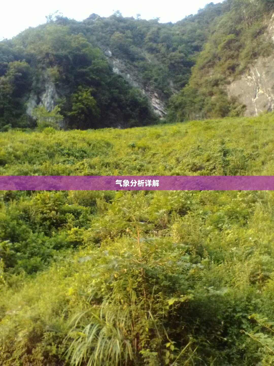 鹤峰未来30天天气预报及气象分析详解