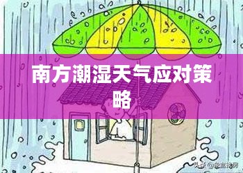 南方潮湿天气应对策略