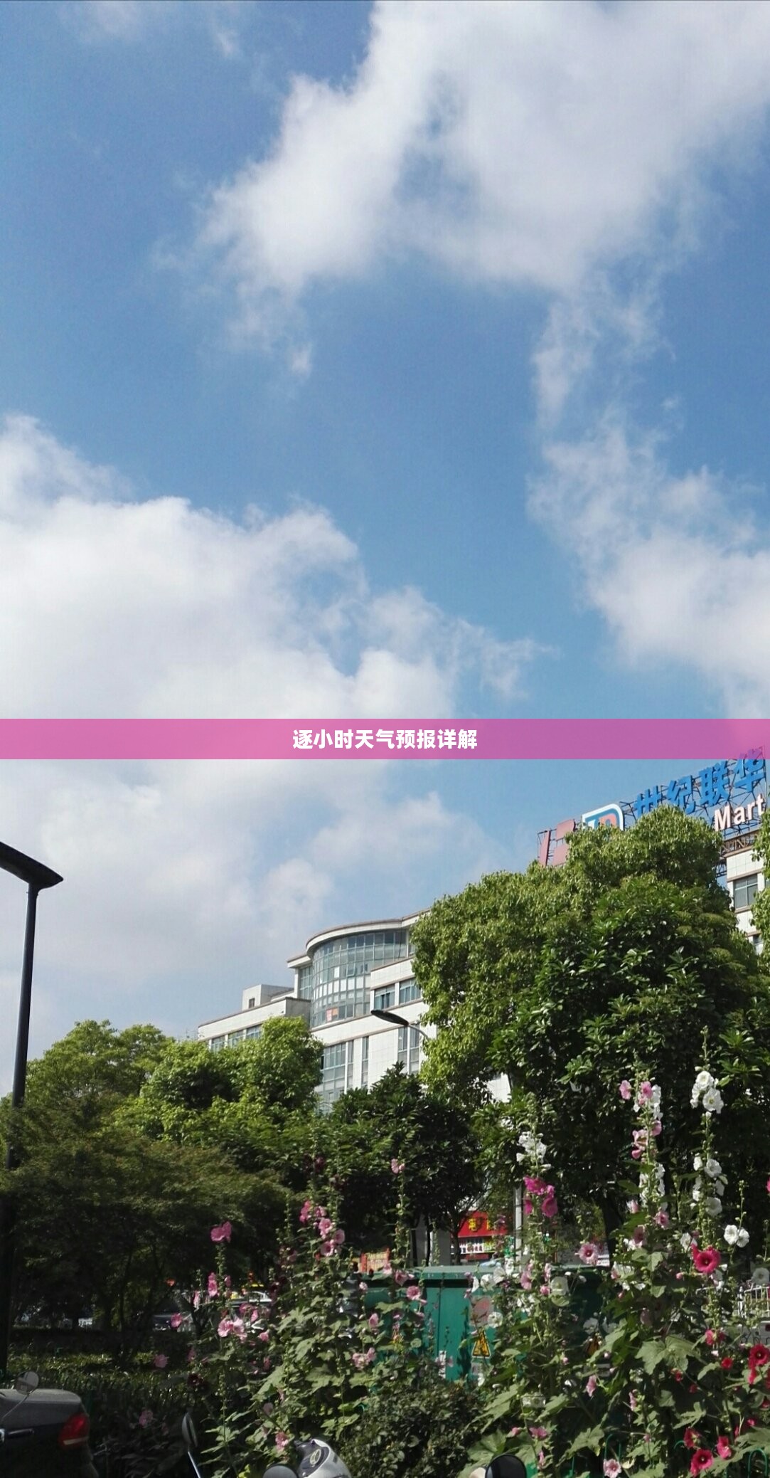杨浦区逐小时天气预报详解