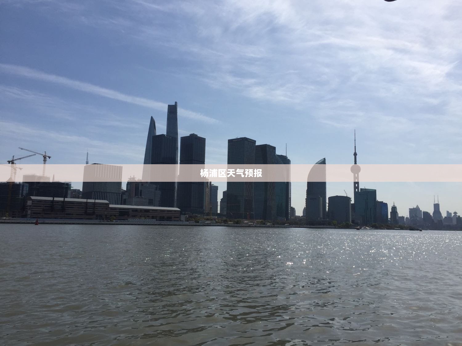 杨浦区逐小时天气预报详解
