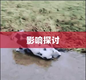 丹东未来一周天气预报分析与影响探讨