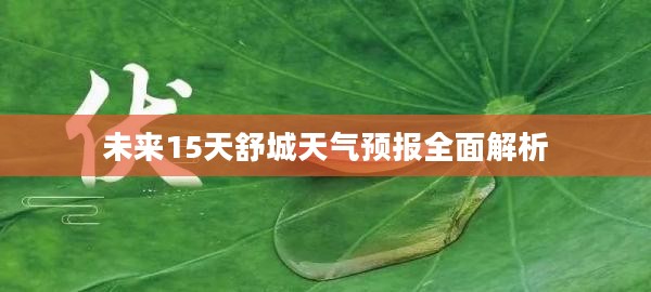 未来15天舒城天气预报全面解析