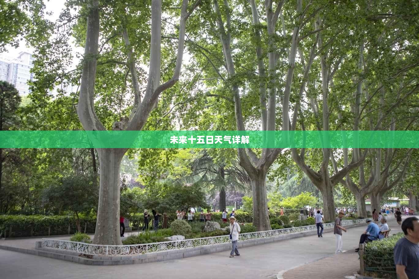 漯河未来十五日天气预报详解