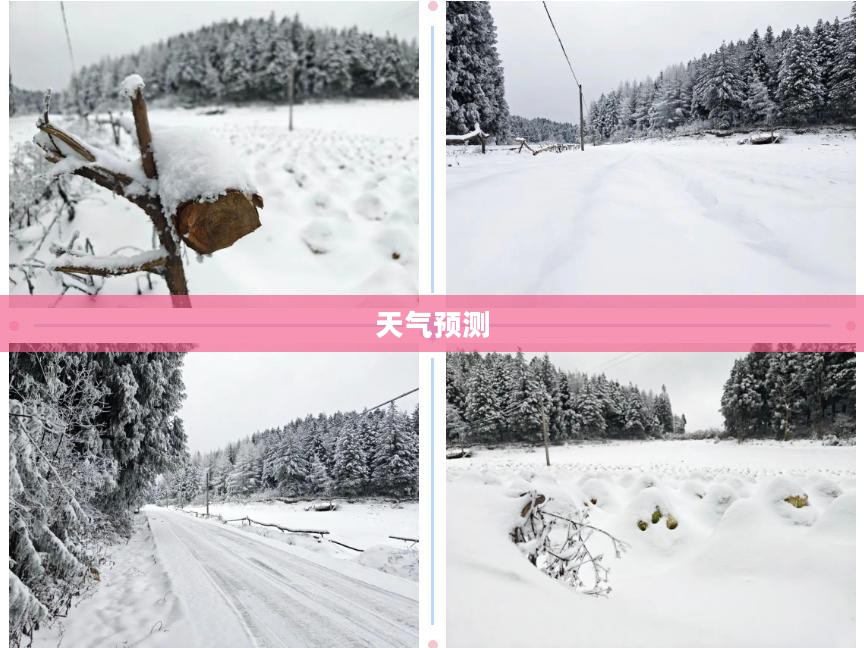 恩施逐小时天气预报