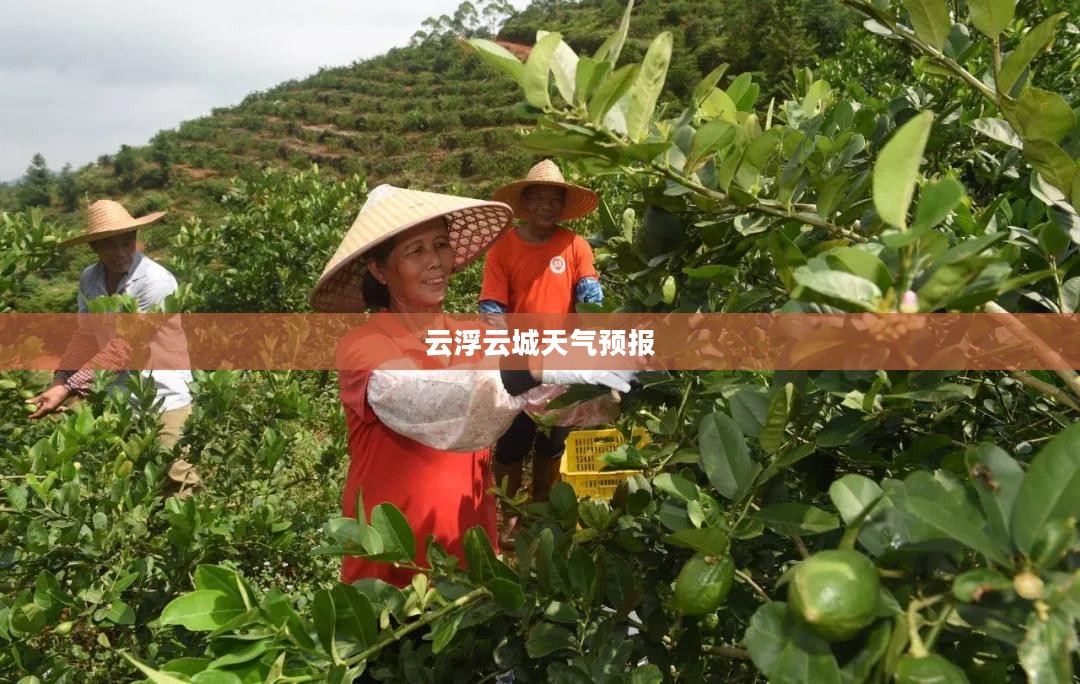 云浮云城天气预报，探索气象奥秘，预知未来天气变化