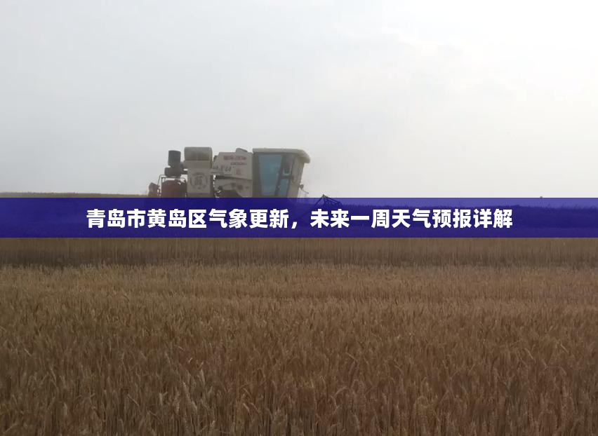 青岛市黄岛区气象更新，未来一周天气预报详解