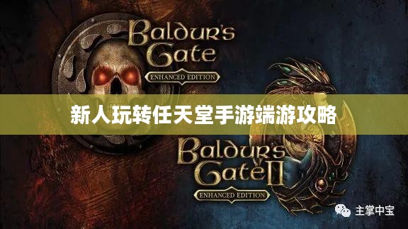 新人玩转任天堂手游端游攻略 新人玩转任天堂手游端游攻略