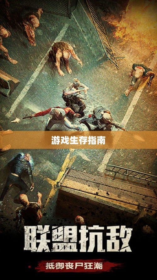 末世启示手游攻略，生存游戏的关键步骤指南