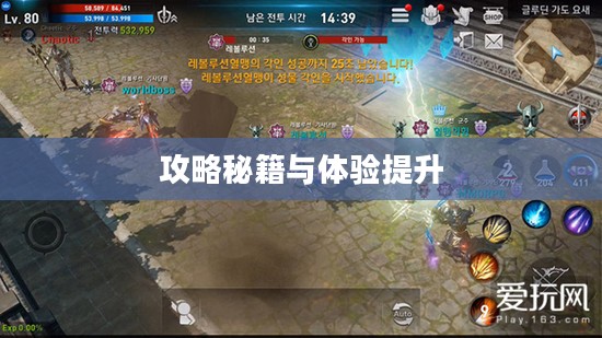 玩转美服手游端游版，攻略秘籍与体验提升指南