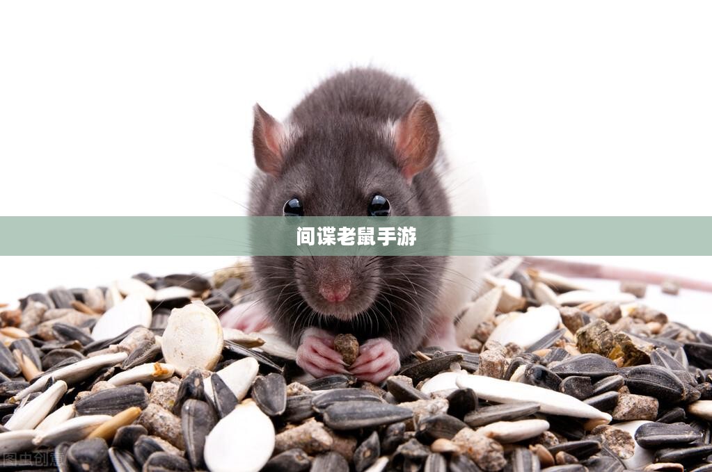 间谍老鼠手游攻略指南与操作技巧，玩转间谍老鼠手游！