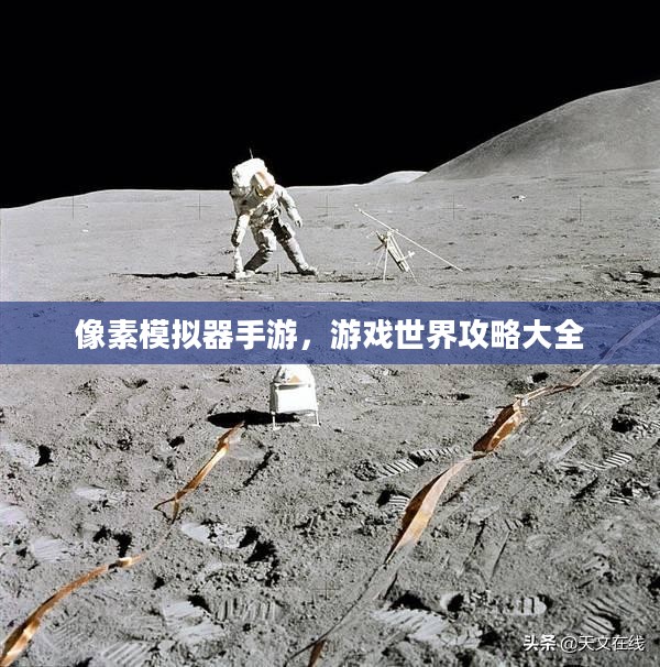 像素模拟器手游，游戏世界攻略大全