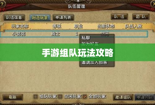 手游遇见组队玩法攻略，从入门到精通的全面指南