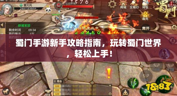 蜀门手游新手攻略指南，玩转蜀门世界，轻松上手！