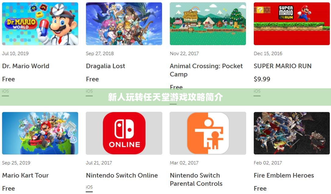 新人玩转任天堂手游端游的攻略与简介