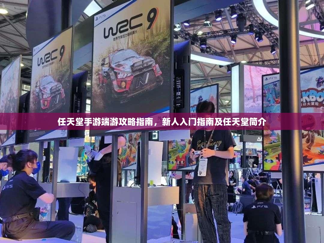 任天堂手游端游攻略指南，新人入门指南及任天堂简介
