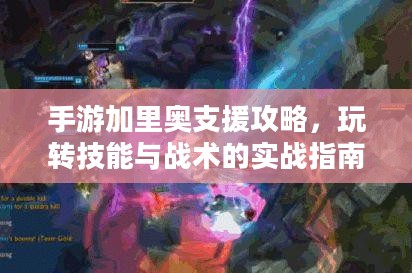 手游加里奥支援攻略,玩转技能与战术的实战指南 手游加里奥支援攻略,玩转技能与战术的实战指南