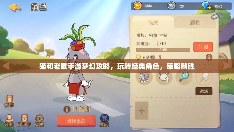猫和老鼠手游梦幻攻略，玩转经典角色，策略制胜