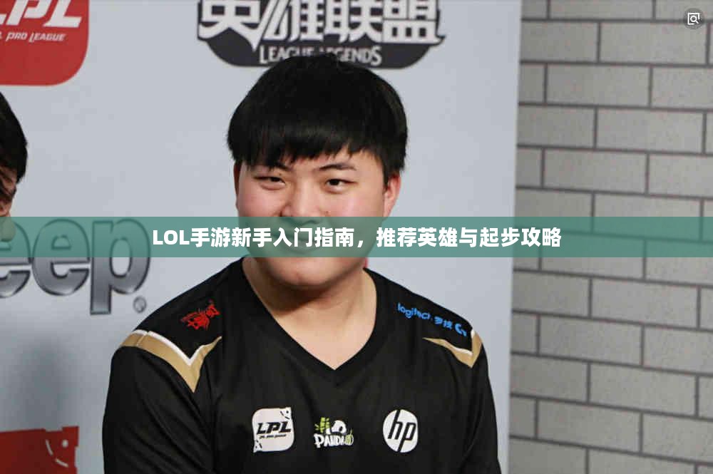 LOL手游新手入门指南，推荐英雄与起步攻略