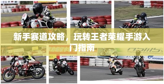 新手赛道攻略，玩转王者荣耀手游入门指南