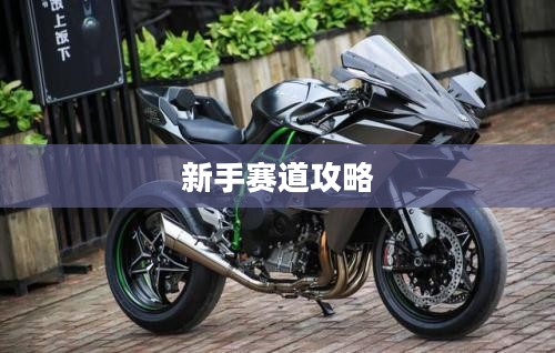 新手赛道攻略,玩转王者荣耀手游入门指南 新手赛道攻略,玩转王者荣耀手游入门指南