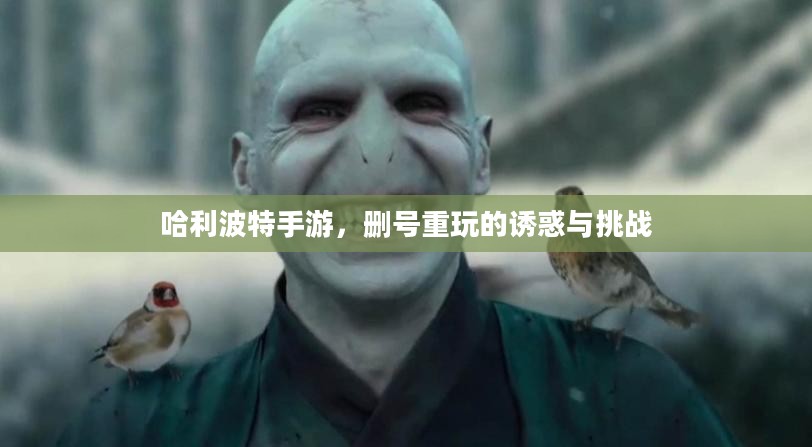 哈利波特手游，删号重玩的诱惑与挑战