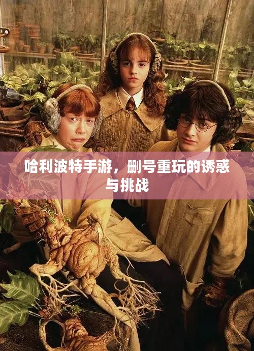 哈利波特手游，删号重玩的诱惑与挑战
