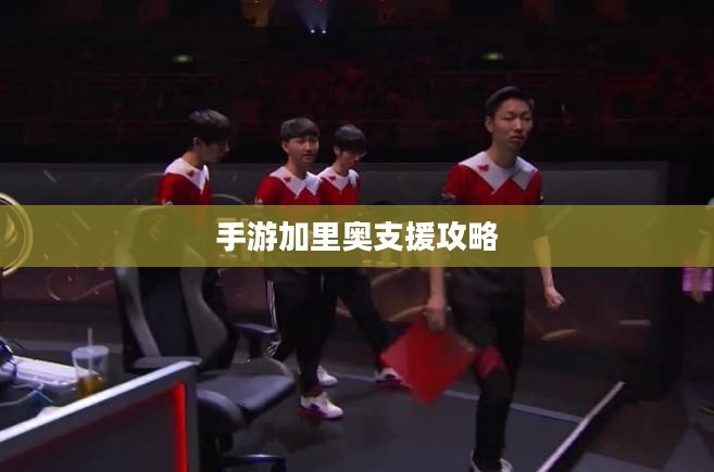 手游加里奥支援攻略,玩转英雄技巧,成为顶尖玩家之选! 手游加里奥支援攻略,玩转英雄技巧,成为顶尖玩家之选!