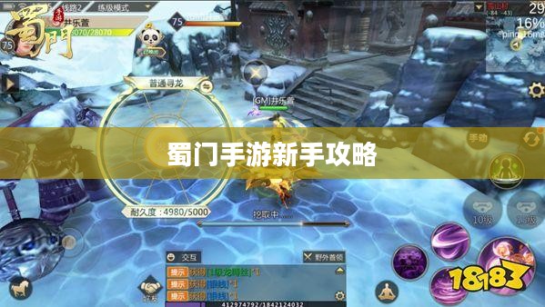 蜀门手游新手攻略，零起点蜀门探险之旅