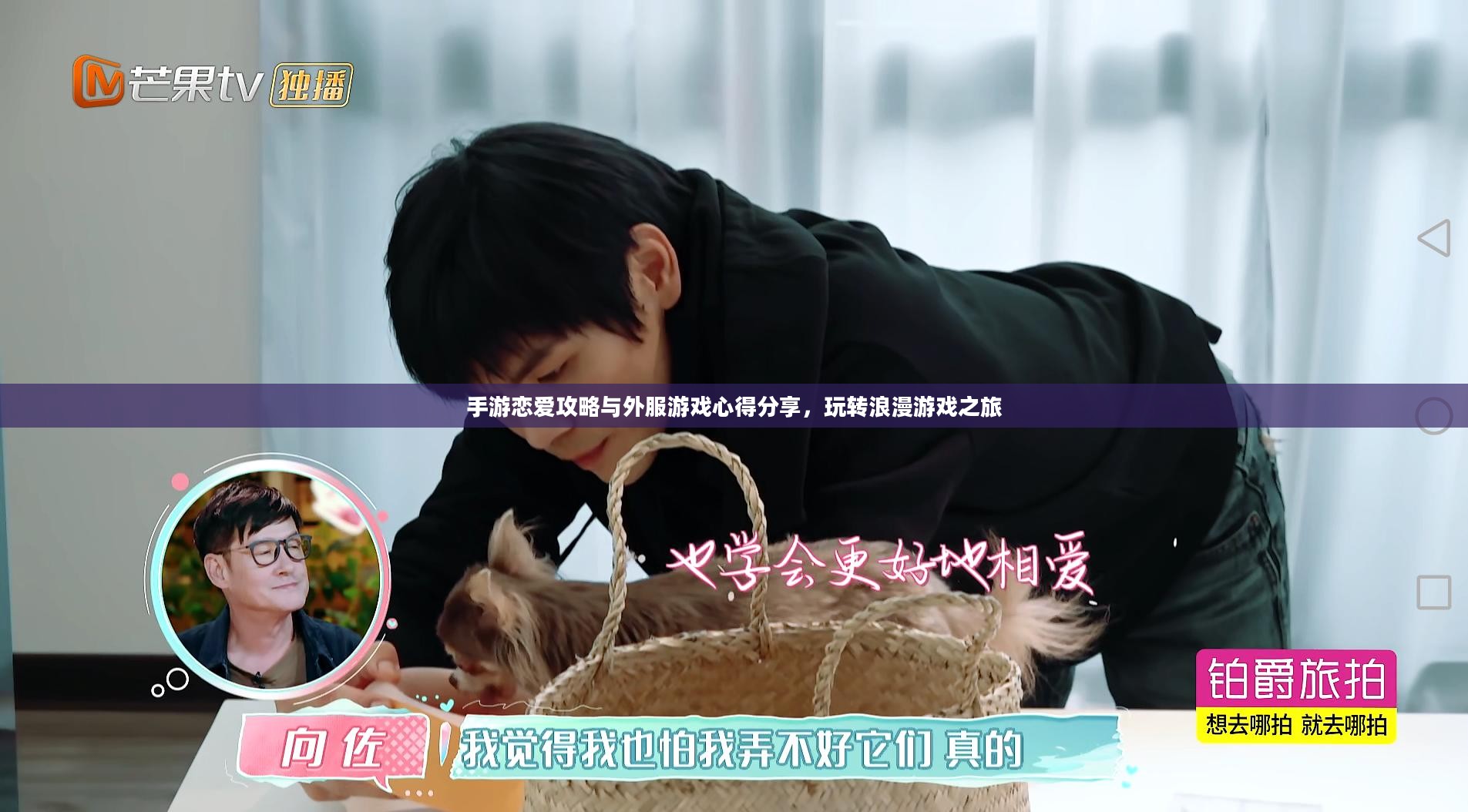 手游恋爱攻略与外服游戏心得分享，玩转浪漫游戏之旅