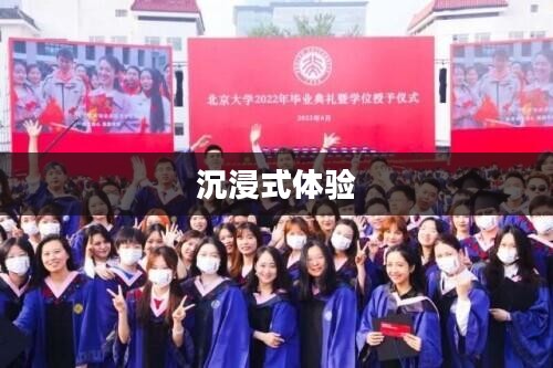 苹果XS Max使命召唤手游，沉浸式体验与极致操作技巧