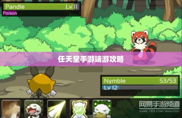 新人任天堂手游端游全攻略,玩转游戏世界 新人任天堂手游端游全攻略,玩转游戏世界