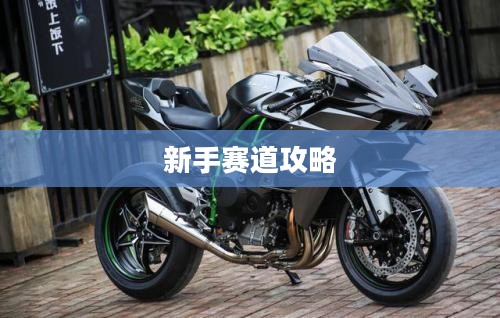 新手赛道攻略,玩转王者荣耀手游入门指南 新手赛道攻略,玩转王者荣耀手游入门指南