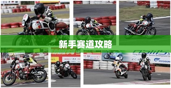 新手赛道攻略，玩转王者荣耀手游入门指南